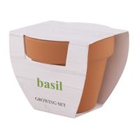 VASETTO CON SEMI DI BASILICO